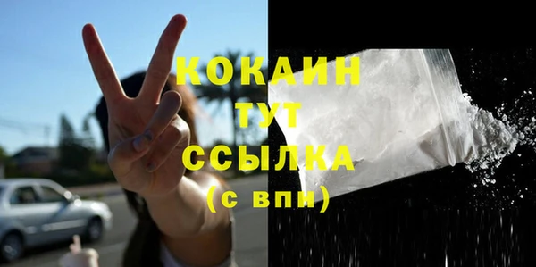 стаф Липки