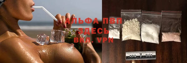стаф Липки