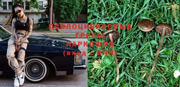 стаф Липки