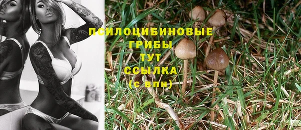 альфа пвп Лиски