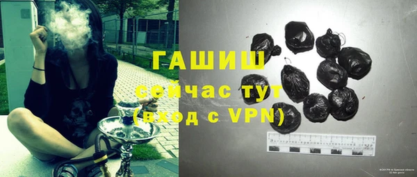 стаф Липки