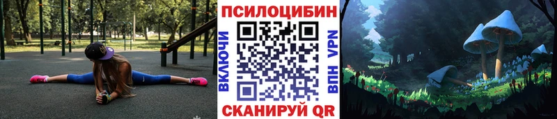 Галлюциногенные грибы Psilocybe Купить где Топки